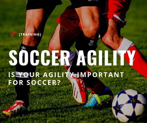 importance of agility in sport.